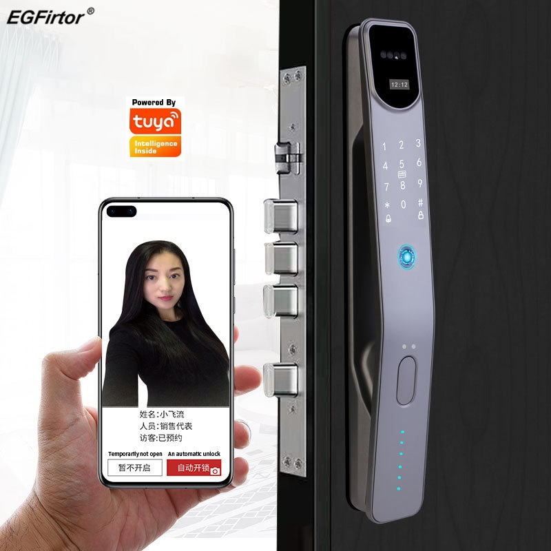 Tuya Wifi Electronic Fingerpri - Smart Door Lock Wifi 评论和价格