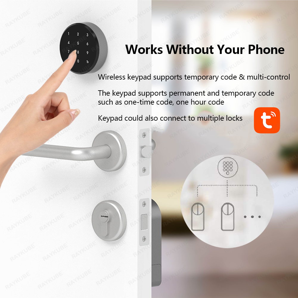 RAYKUBE A1 Pro Tuya BEL Smart  - Smart Door Lock Wifi 评论和价格