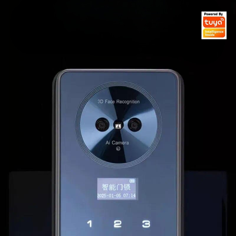 Smart Lock Facial Recognition  - Smart Door Lock Wifi 评论和价格