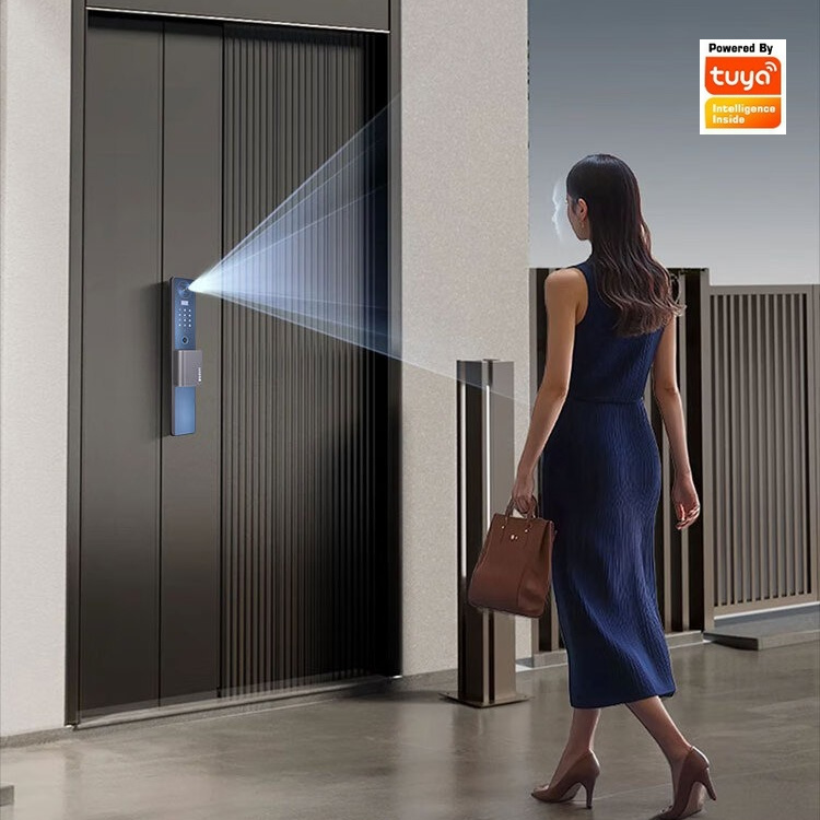 Smart Lock Facial Recognition  - Smart Door Lock Wifi 评论和价格
